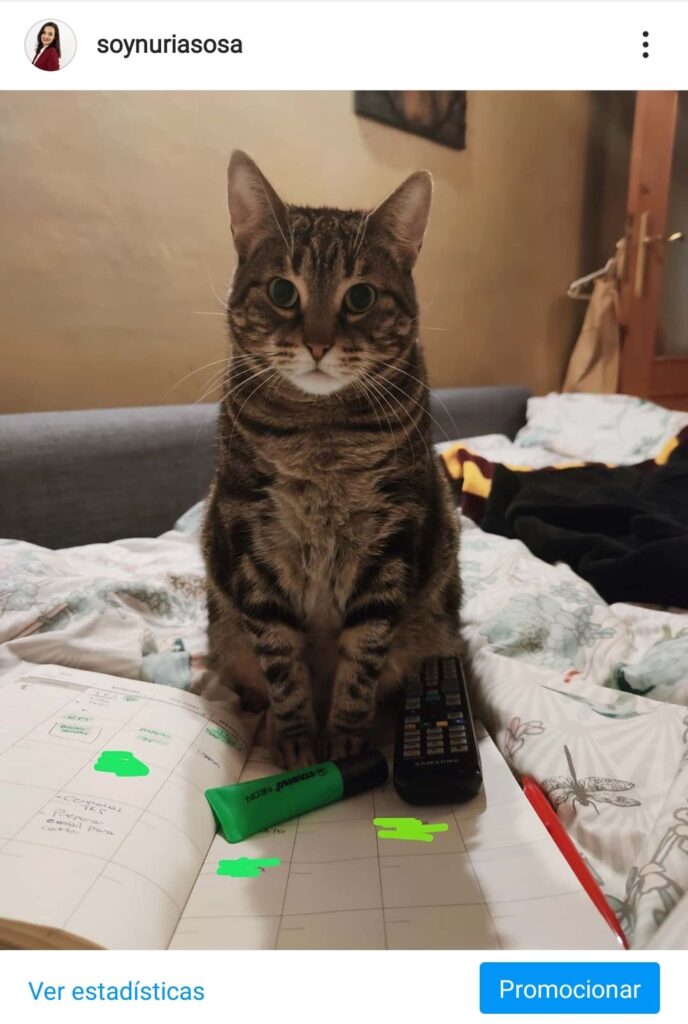 tamaño foto vertical instagram